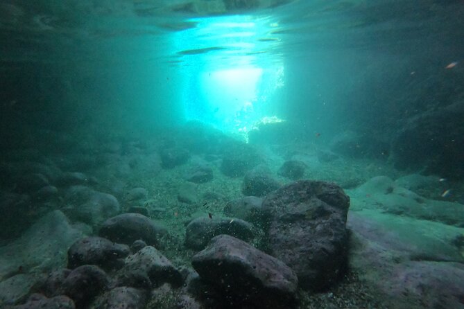 Elaphiti Island private boat tour - Stop 1 on Kolocep: Caves, the Blue Cave Area, and a Real Swim
