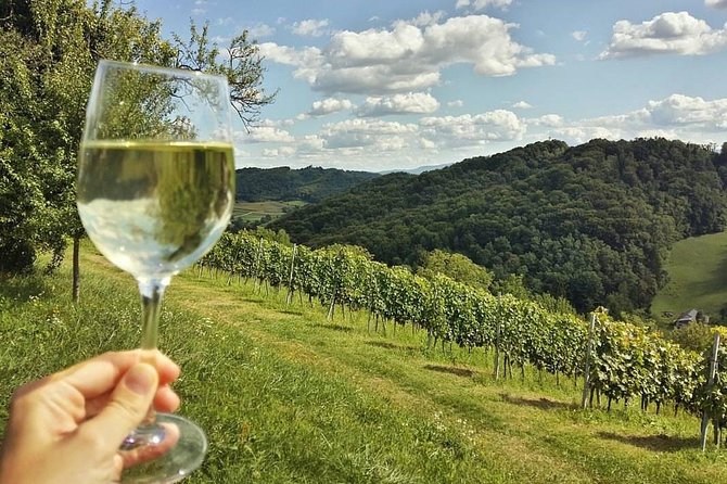 Fairytale Castle & Wine Tasting & Lunch - The Second Castle or Mansion Stop: Personal Ownership, Art, and Stories