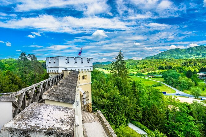 Fairytale Castle & Wine Tasting & Lunch - Alcohol and Food: How the Wine Tasting Works in Real Life