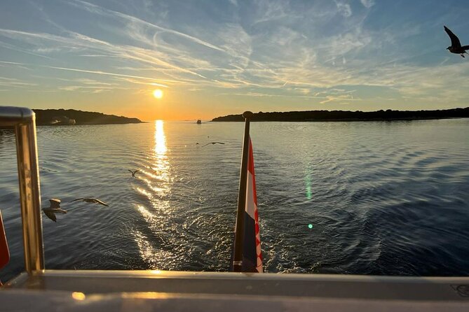 Fantastic DOLPHIN & SUNSET TOUR with dinner ( Pula-NP BRIJUNI ) - Who Should Book This Dolphin and Sunset Tour?
