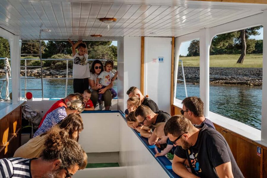 FAŽANA: DOLPHIN SAFARI - Key highlights you should care about