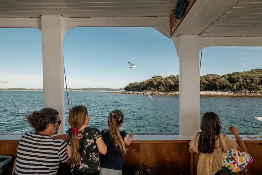 FAŽANA: DOLPHIN SAFARI - Glass-bottom time: how to make the underwater viewing work