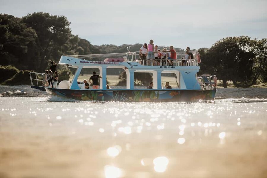 FAŽANA: DOLPHIN SAFARI - The dolphins search: best way to enjoy it without chasing certainty