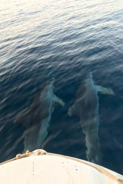 Fazana: dolphin safari and sightseeing in Brijuni at sunset - Comfort and onboard basics on Kristina