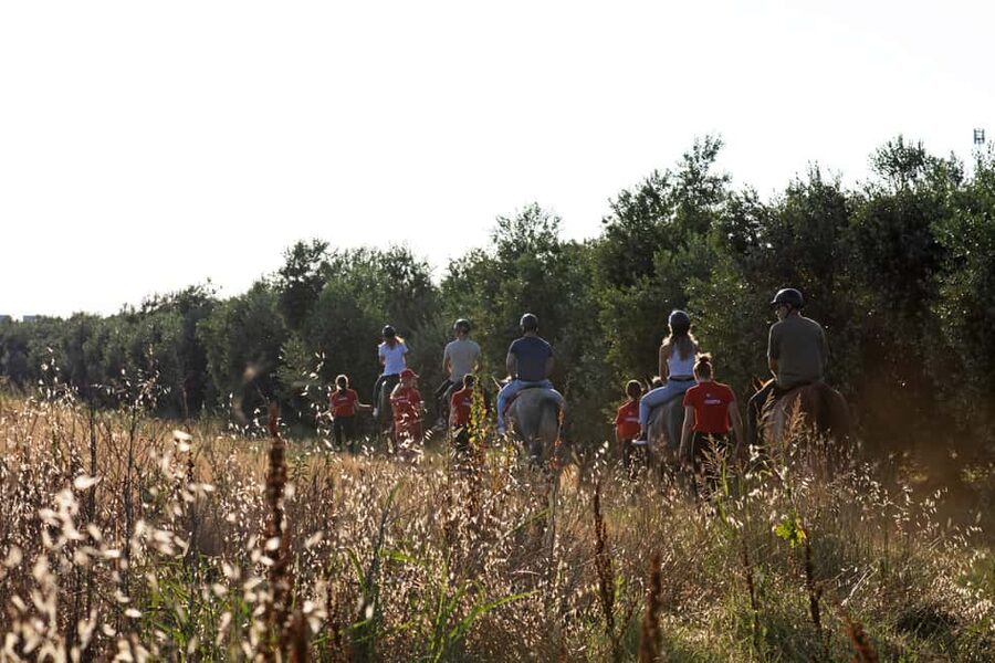 Fazana: Sunset 1-hour Horse Riding in Nature with Guide - Should you book this sunset horse ride in Istria?