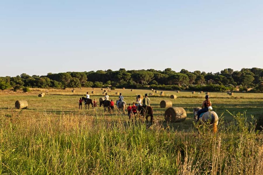 Fazana: Sunset 1-hour Horse Riding in Nature with Guide - Fažana at Sunset: why a 1-hour ride feels just right
