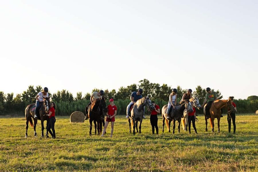 Fazana: Sunset 1-hour Horse Riding in Nature with Guide - Pine forest trail: the calm senses part of the ride