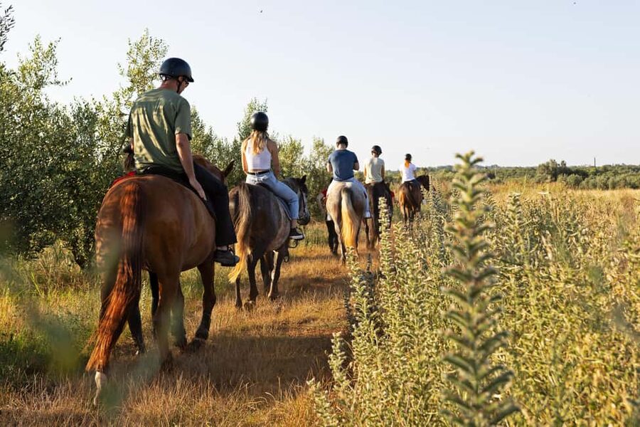 Fazana: Sunset 1-hour Horse Riding in Nature with Guide - Olive groves: rustic scenery plus guide stories from the saddle