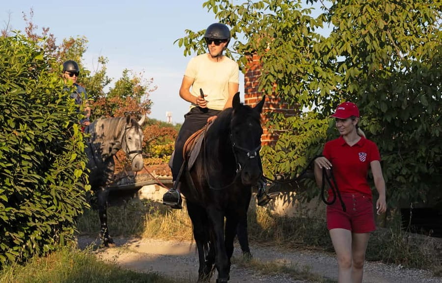 Fazana: Sunset 1-hour Horse Riding in Nature with Guide - Small group max 6, English guidance, and why the price can make sense