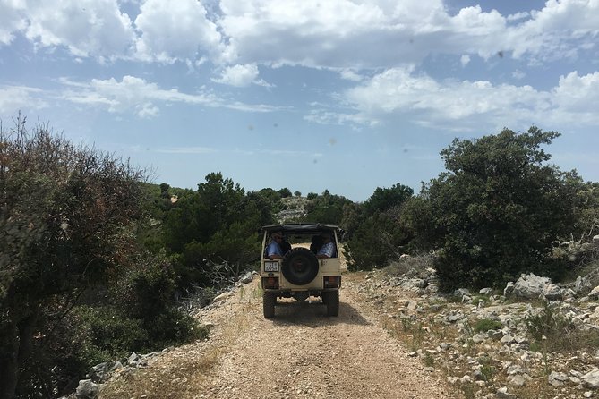 Feel and Taste island Brac with local experts - island adventure to remember - Lunch with local food, plus tastings that connect to daily life