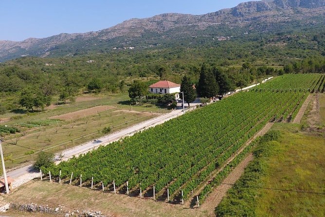 Flavours of Konavle: Wine, Food & Village Life Experience - Dubrovnik crowds, meet Konavle’s slower pace
