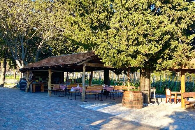 Flavours of Konavle: Wine, Food & Village Life Experience - Price and value: what $240.28 buys you in real terms