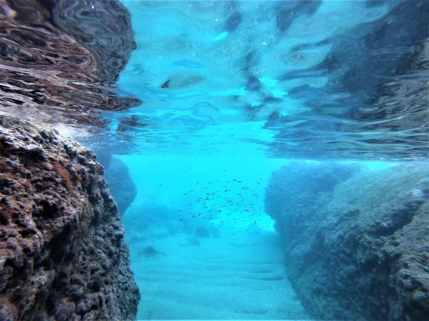 From Dubrovnik: 4-hour Elafiti Islands Private Boat Tour - Lopud island time: Šunj Beach vibes and a land break that still feels relaxing