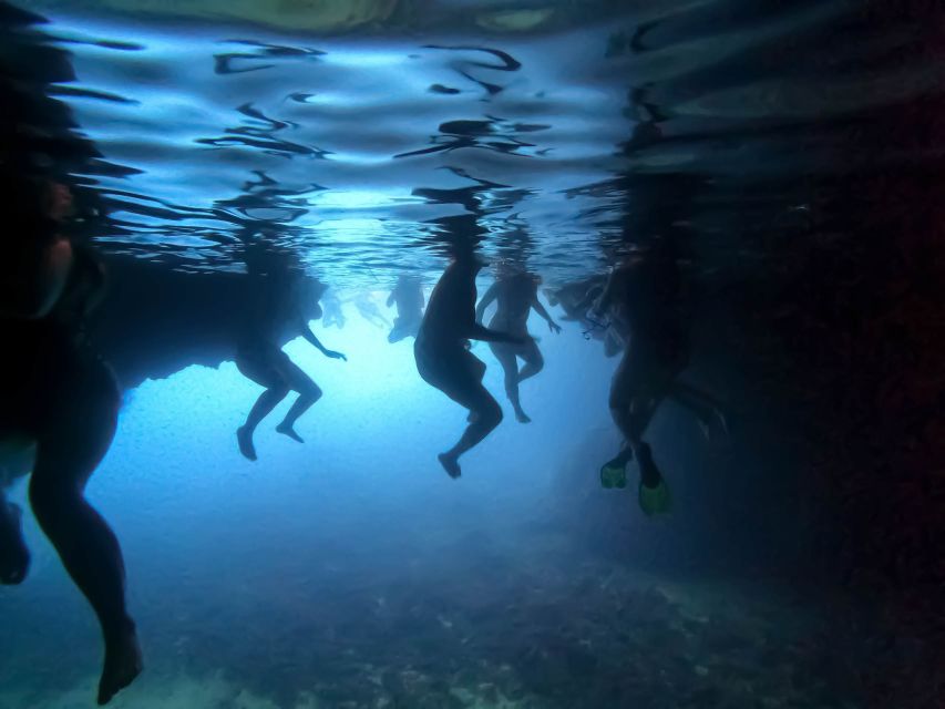 From Dubrovnik/Cavtat: Blue Cave, Sunj Beach Speed Boat Tour - Blue Cave on Koločep: The Narrow-Entrance Swim
