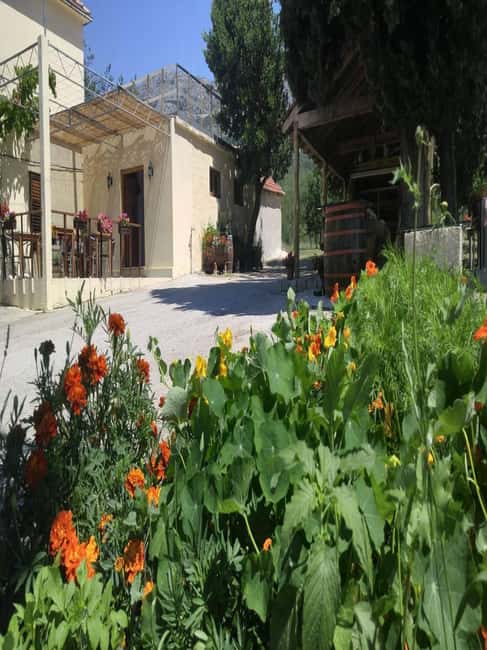 From Dubrovnik: Half-Day Wine Tasting and Cavtat City Tour - Key Things You’ll Enjoy Most