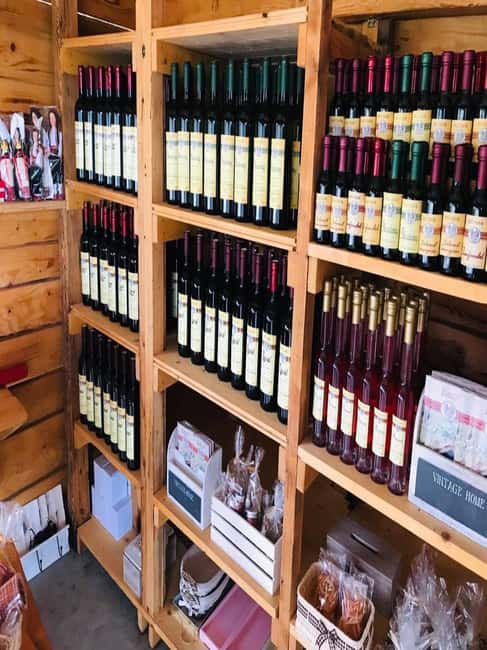 From Dubrovnik: Half-Day Wine Tasting and Cavtat City Tour - From Dubrovnik Out to Konavle: A Small-Group Feel With a Big Change of Pace