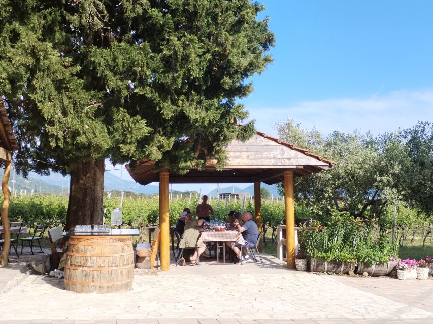 From Dubrovnik: Half-Day Wine Tasting and Cavtat City Tour - The Hosts and Hosts’ Style: Why the Conversation Matters Here