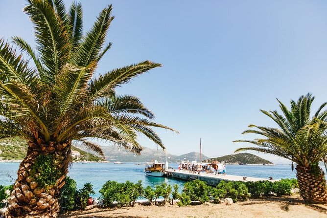 From Dubrovnik: Premium Three Island Cruise with lunch and drinks - Šipan Island: olive groves and a quick taste of island life