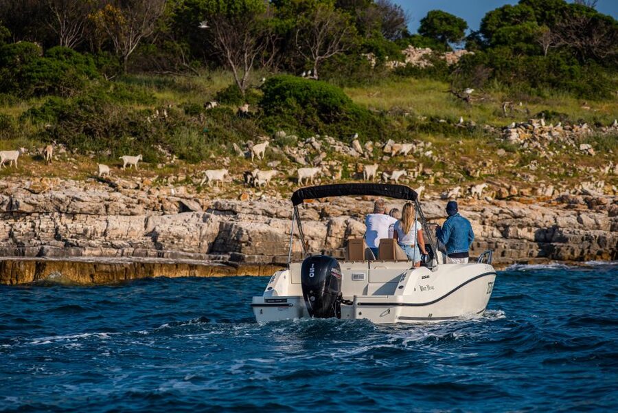 From Fažana: Private boat tour of Brijuni Islands - Veliki Brijun: Safari Park, Bicycles, and Museums Included