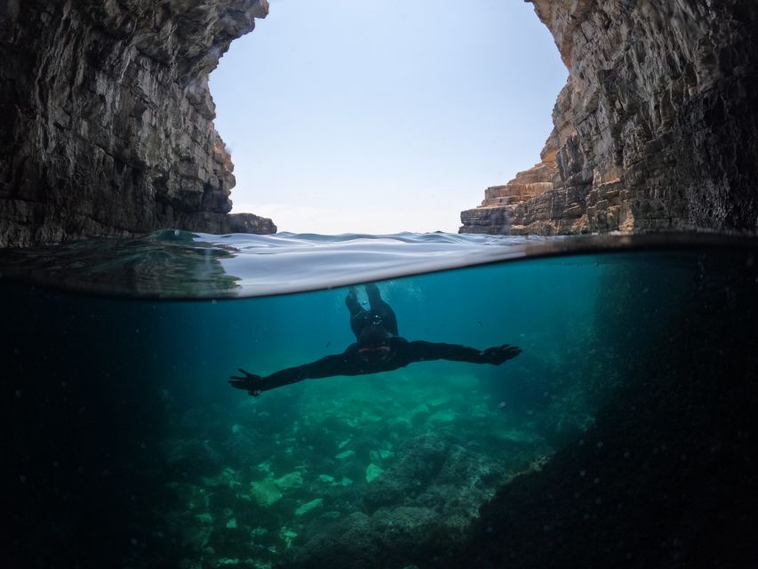 From Fažana: snorkeling at sea cave and Brijuni Island - Key highlights you should care about