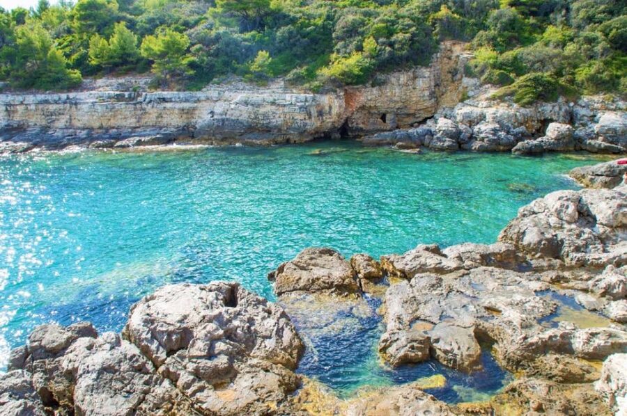 From Fažana: snorkeling at sea cave and Brijuni Island - Boat comfort and timing: why the 3-hour plan works