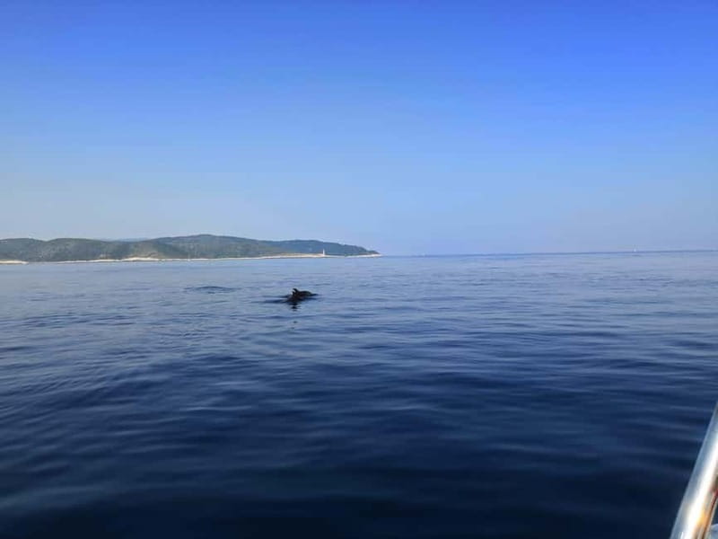 From Hvar: Unforgetable Tour to the Island Vis and Blue Cave - Palmižana on the Paklinski Islands: the relaxed finish that makes the day feel worth it