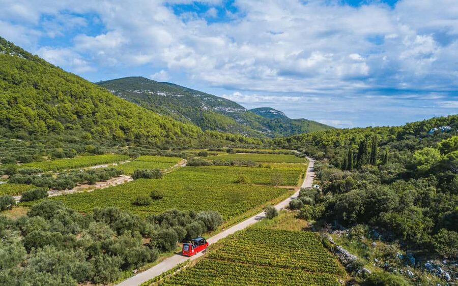From Korcula Town: Local Wine & Sightseeing Half-Day Tour - The drive first: viewpoints and traditional village stops that set the mood