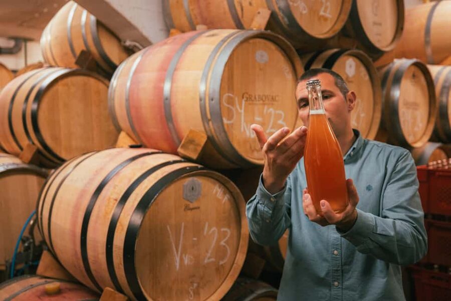 From Makarska Riviera : Wine Tasting Grabovac Tour - Vinarija Grabovac: how the winery visit actually feels