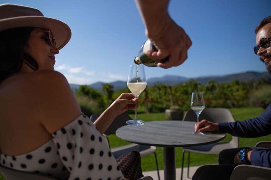 From Makarska Riviera : Wine Tasting Grabovac Tour - The 2.5-hour tasting: five still wines with local pairings