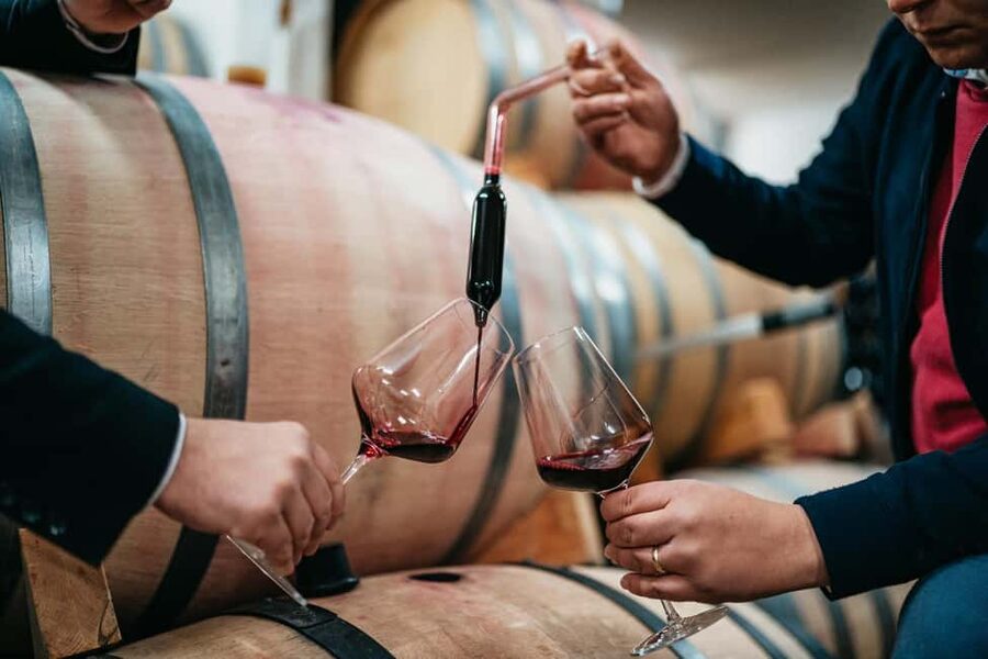 From Makarska Riviera : Wine Tasting Grabovac Tour - How to get the best experience (without overthinking wine)