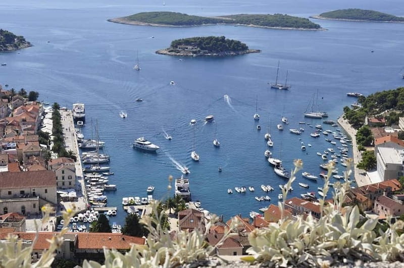From Milna, Supetar, Postira: Magical Blue Cave and Hvar - Key things to know before you go