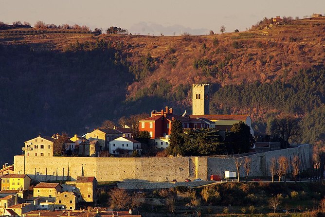 From Pula or Medulin: Istria in one day tour - Key things to know before you go