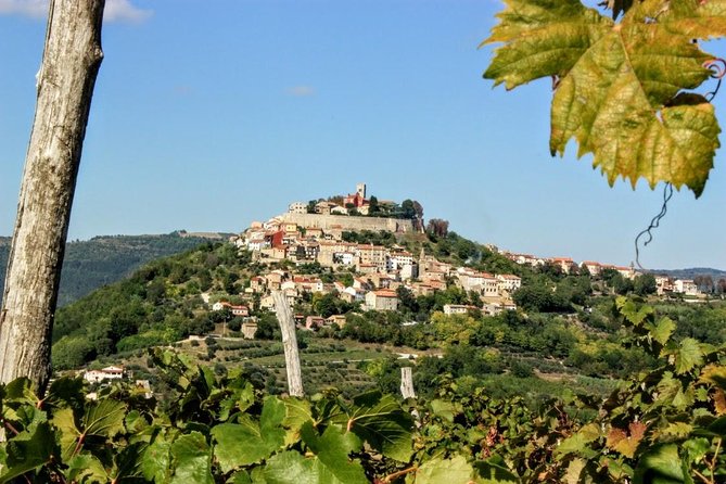 From Rovinj: Istria in one day tour - Rovinj Pickup and the 9:00 am Start That Keeps You On Track
