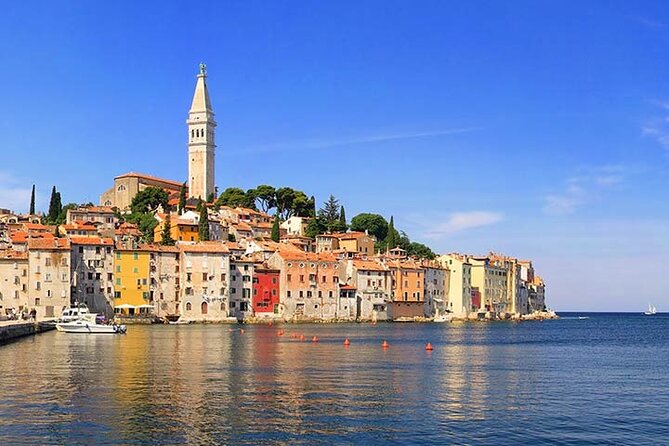 From Rovinj: Istria in one day tour - Where the Tour Shines, and What Might Annoy You
