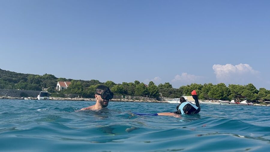 From Split: Blue Lagoon & 2 Islands half-day Private - Who This Tour Fits Best in Dalmatia
