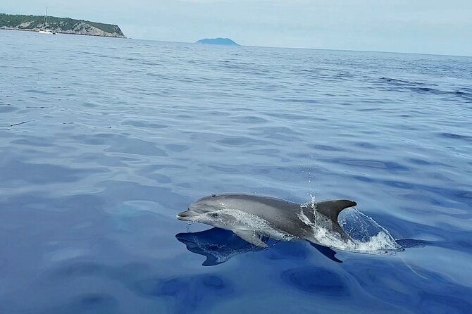 From Split: Half-Day Blue Lagoon and 3 Islands Boat Tour - What to Bring so Snorkeling and Swim Time Goes Smoothly
