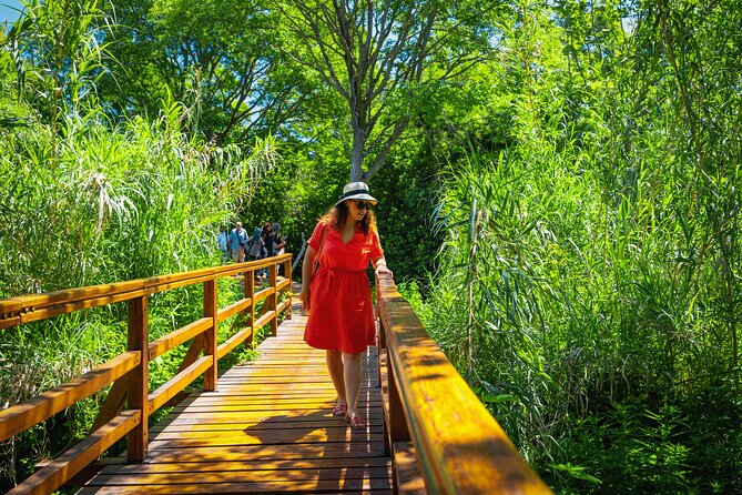 From Split: Krka Waterfalls Tour - Wine tasting option: good add-on, not required