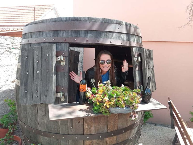 From Split: Krka Waterfalls with Wine & Cheese Tasting Tour - Key highlights worth showing up for