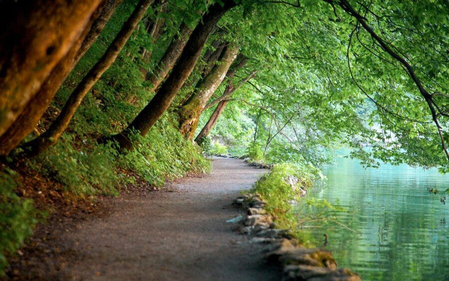 From Split or Trogir: Plitvice Lakes Guided Tour - Entering Plitvice: Wooden Walkways and the Korana River Story