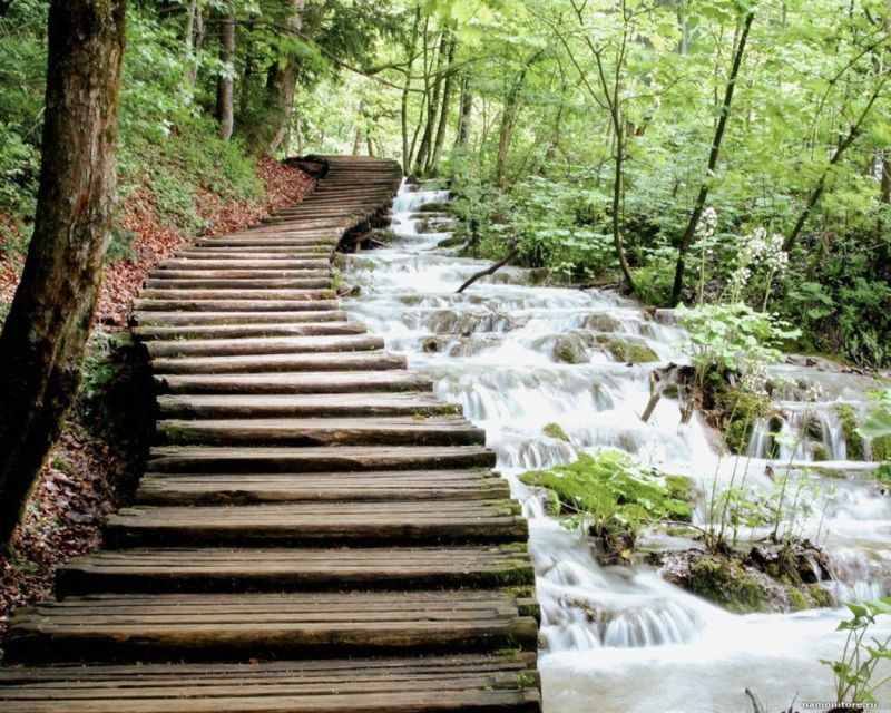 From Split or Trogir: Plitvice Lakes Guided Tour - Price and Value: What You Pay, What You Add, and What You Get