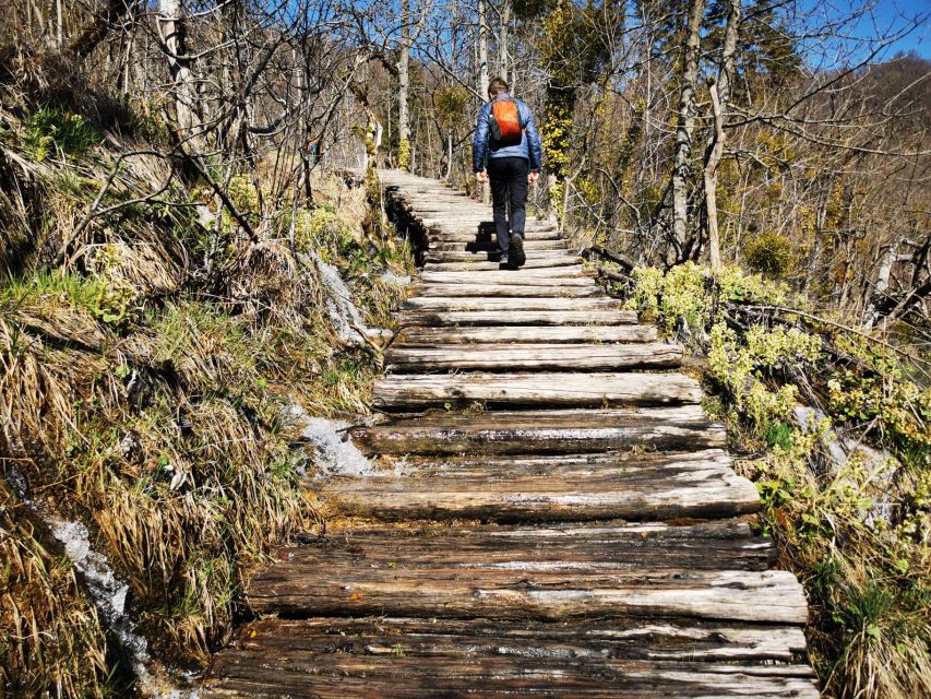 From Split: Plitvice Lakes Full-Day Trip - The Human Touch: English Host, Guides, and Great Photo Support