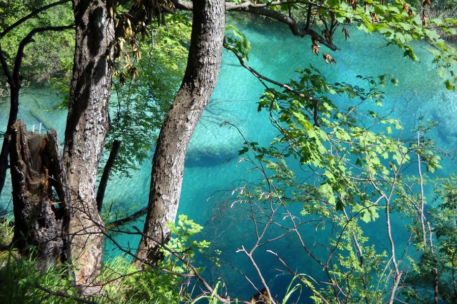 From Split: Plitvice Lakes Fully-Guided Day Tour - Meeting point at Obala Hrvatskog narodnog preporoda 21, and why arriving early helps