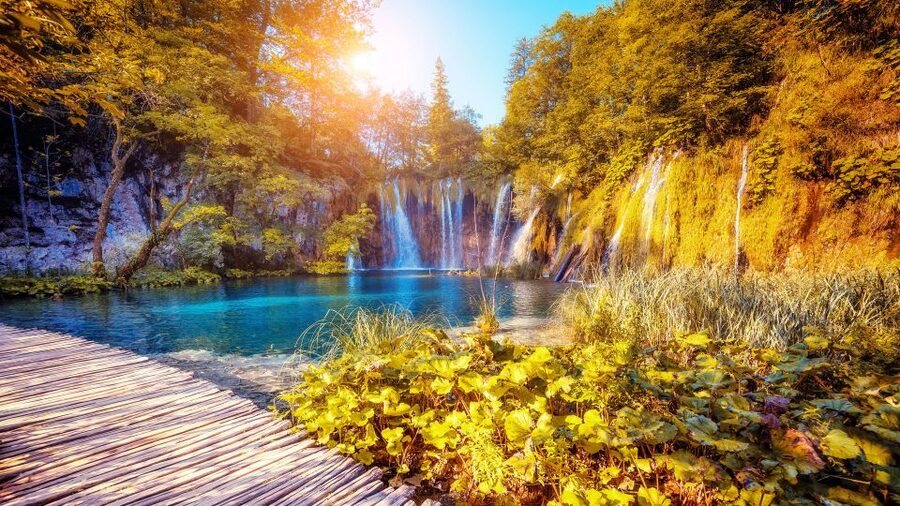 From Split: Plitvice Lakes Guided Tour with Entry Tickets - The electric train and boat ride: the park from two smart angles