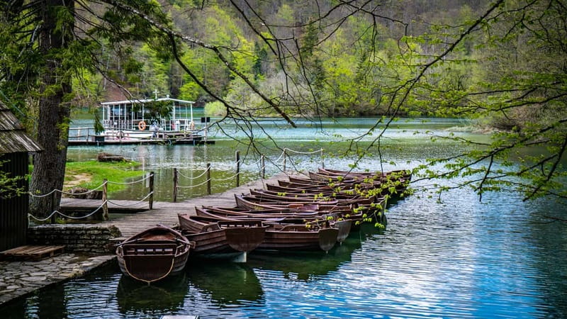 From Split: Plitvice Lakes Guided tour - Getting in: fairy forest, Upper Lakes, and the guided 8 km hike
