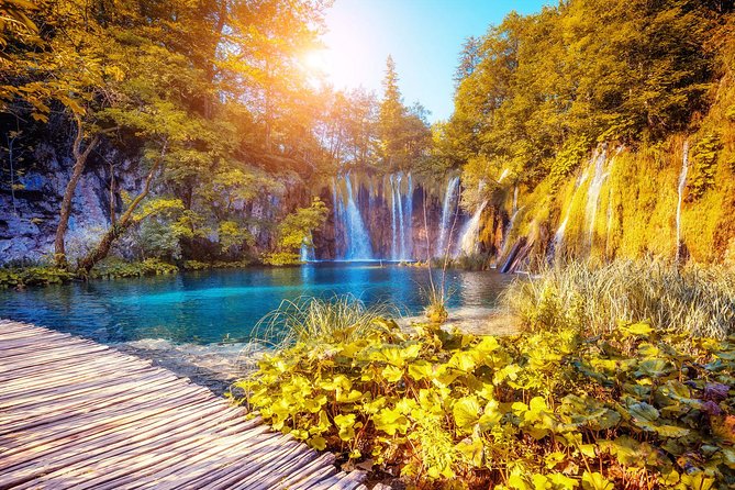 From Split: Plitvice Lakes National Park Guided Tour - Upper Lakes walk: forest paths, waterfalls, and learning as you go