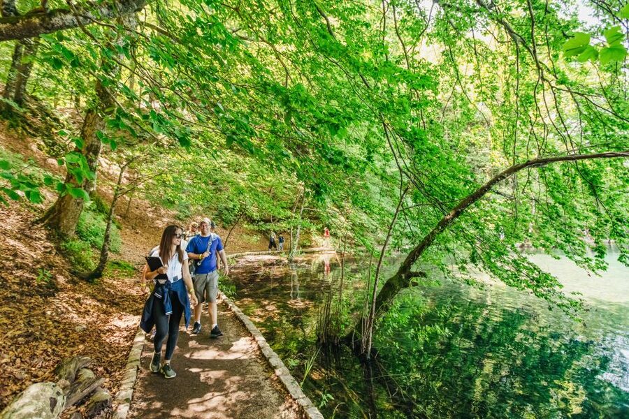 From Split: Plitvice Lakes National Park Guided Tour - Crowds, timing, and the walking reality inside the park
