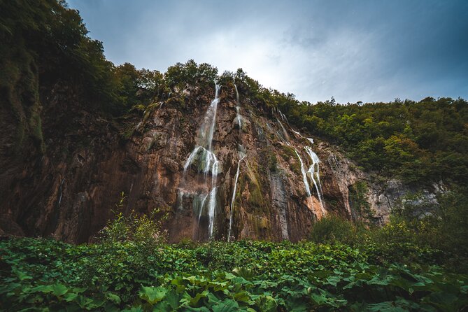 From Split: Plitvice Lakes - Private tour - Forest bathing in ancient woodlands: the reset you might not plan for