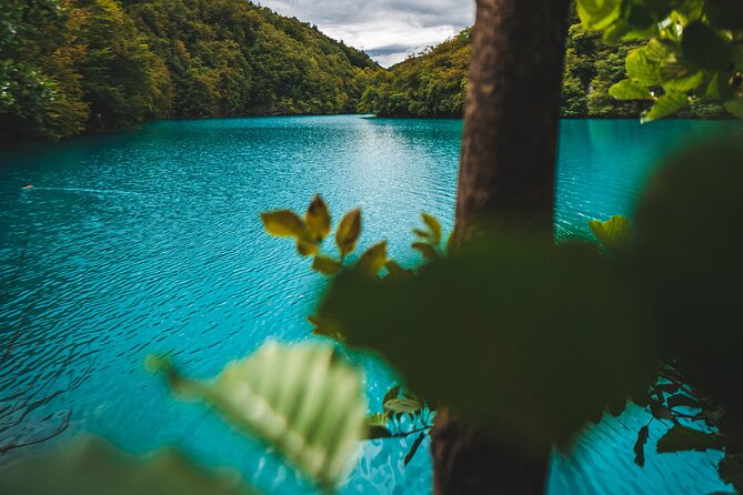 From Split: Plitvice Lakes - Private tour - Comfort on the road: air-conditioned transfers and real break time