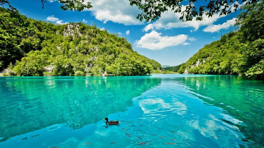 From Split: Transfer to Zagreb with Stop at Plitvice Lakes - Where you meet and where you get dropped off in Split