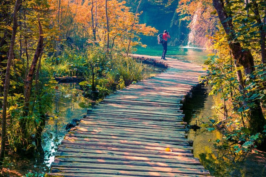 From Split/Trogir/Omiš: Plitvice Lakes Guided Group Tour - Picture-Friendly Stops, Wildlife Chances, and the Reality of Weather